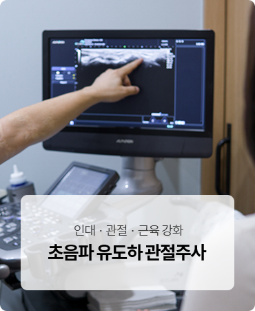 초음파 유도하 관절주사