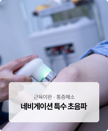네비게이션 특수 초음파